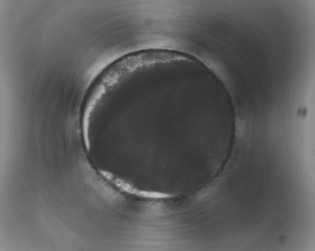 X0000111801230200909031221