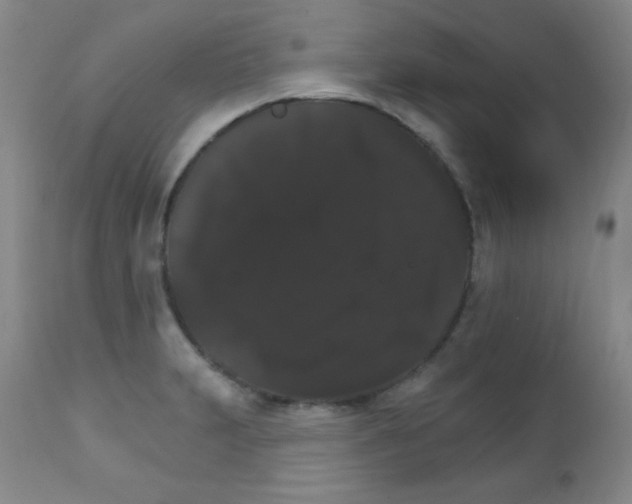 X0000111801231200909031221