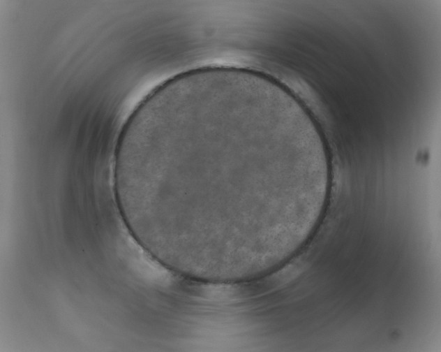 X0000111801232200909031221