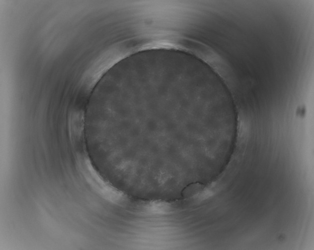 X0000111801233200909031221