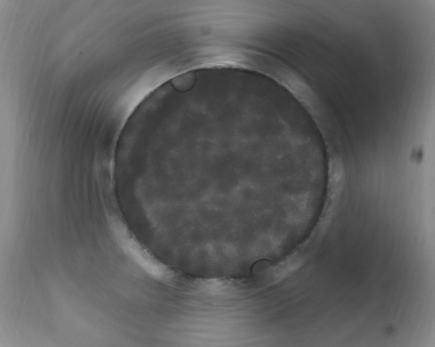 X0000111801234200909031221