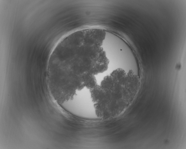 X0000111801236200909031221