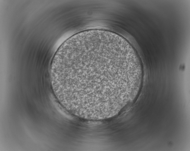 X0000111801242200909031221