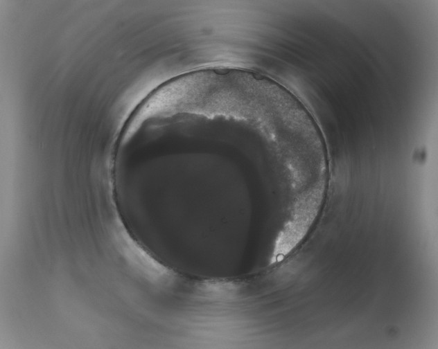 X0000111801243200909031221