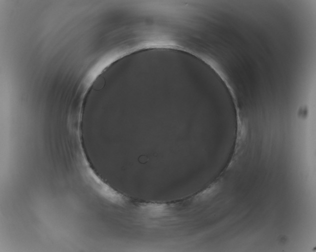 X0000111801245200909031221