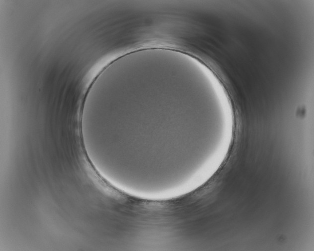X0000111801246200909031221