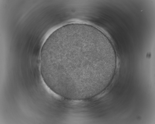 X0000111801247200909031221