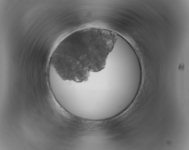 X0000111801248200909031222