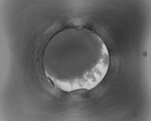 X0000111801249200909031221