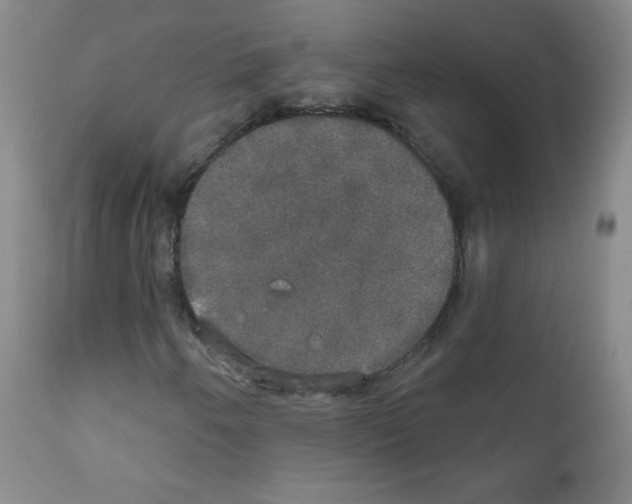 X0000111801250200909031221