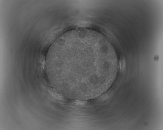X0000111801251200909031221