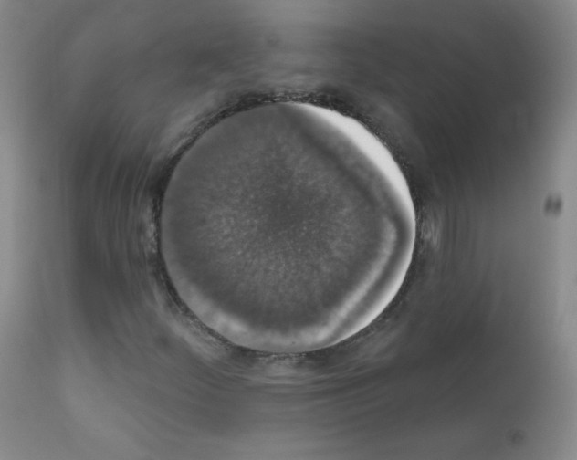 X0000111801252200909031221