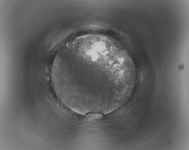 X0000111801253200909031221
