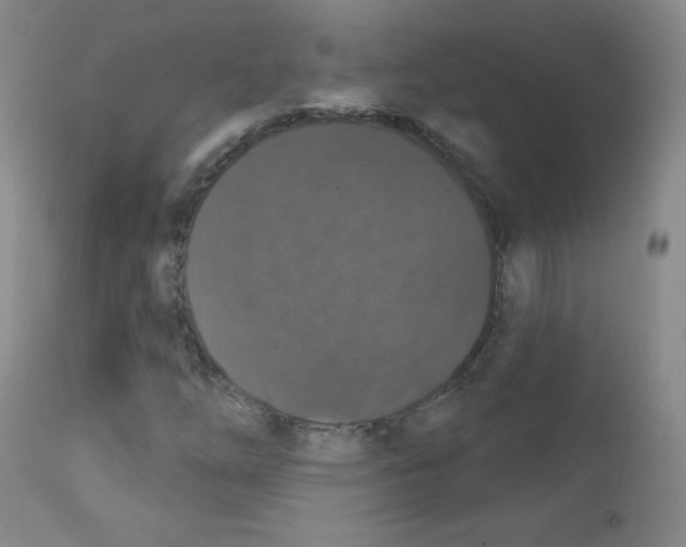 X0000111801254200909031221