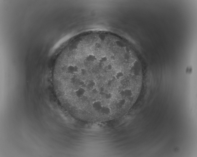 X0000111801255200909031221