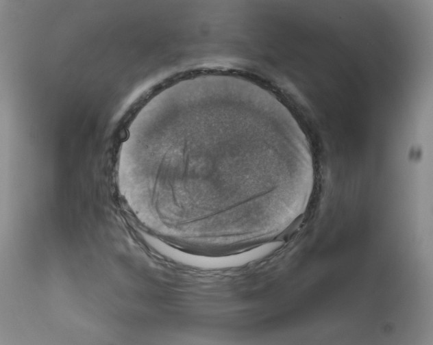 X0000111801256200909031221