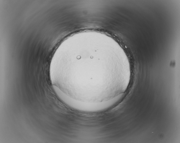 X0000111801257200909031221