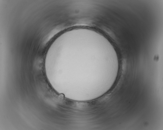 X0000111801258200909031221