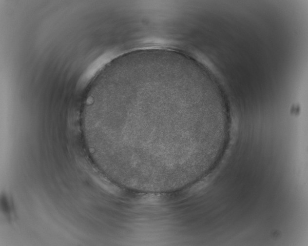 X0000111801259200909031221