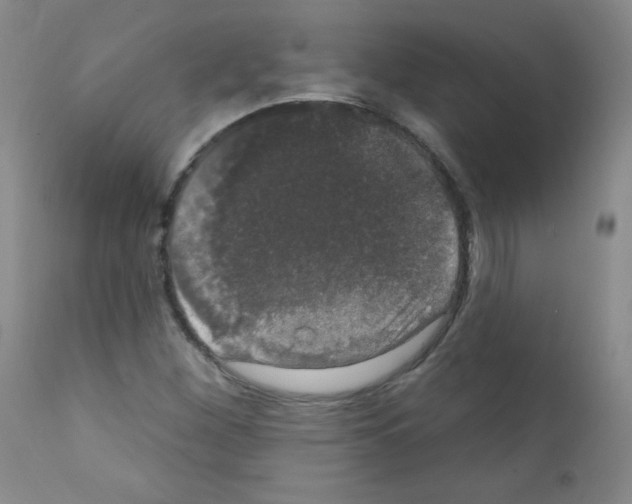 X0000111801260200909031221