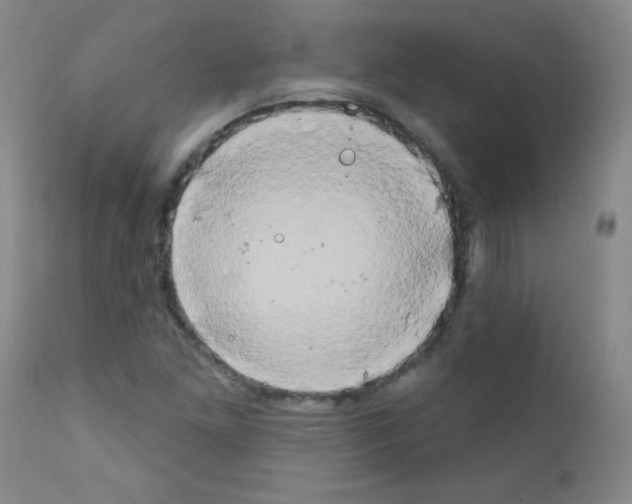 X0000111801261200909031221