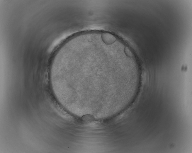 X0000111801262200909031221