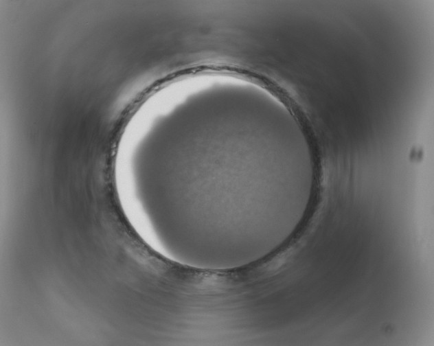 X0000111801263200909031221