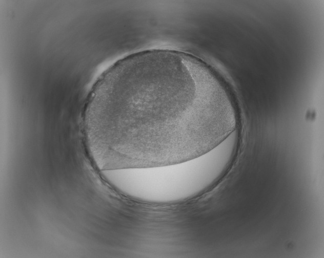 X0000111801264200909031221