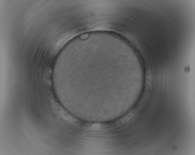 X0000111801265200909031221