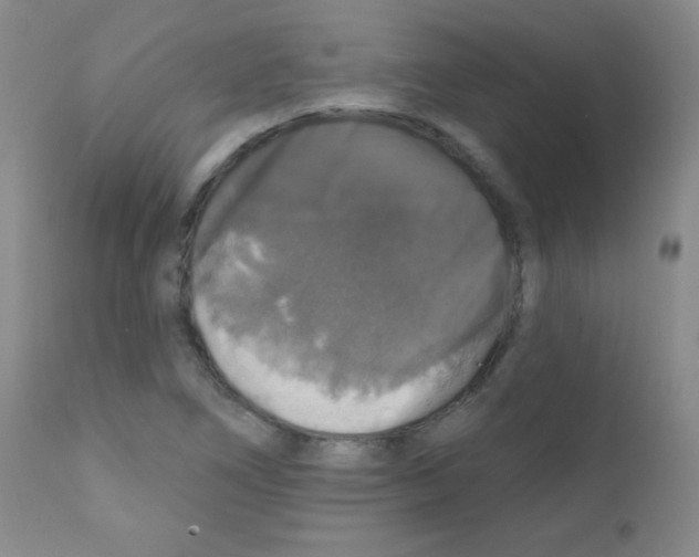 X0000111801266200909031221