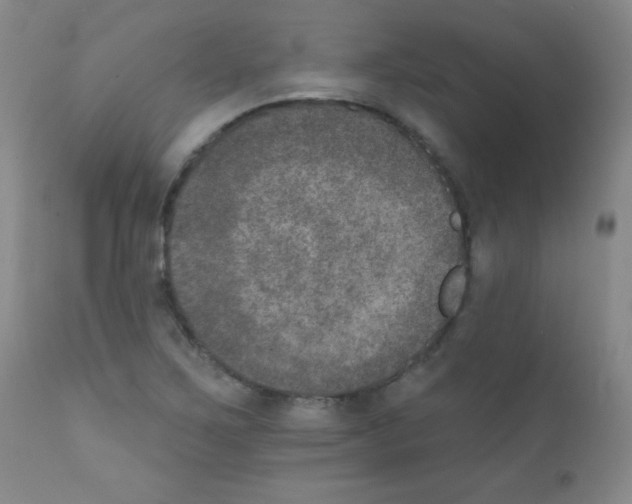 X0000111801267200909031221