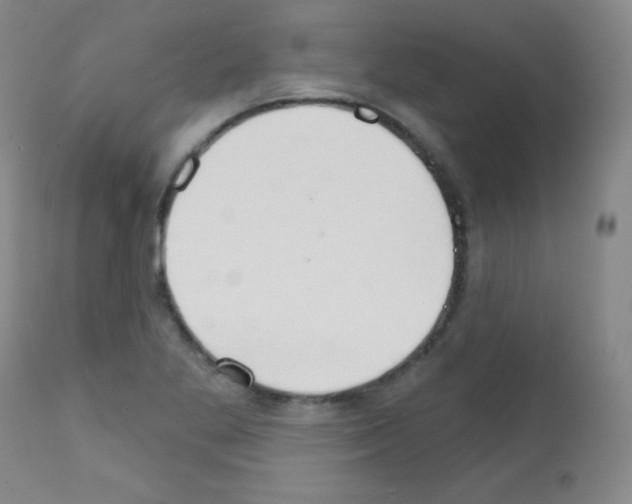 X0000111801269200909031221