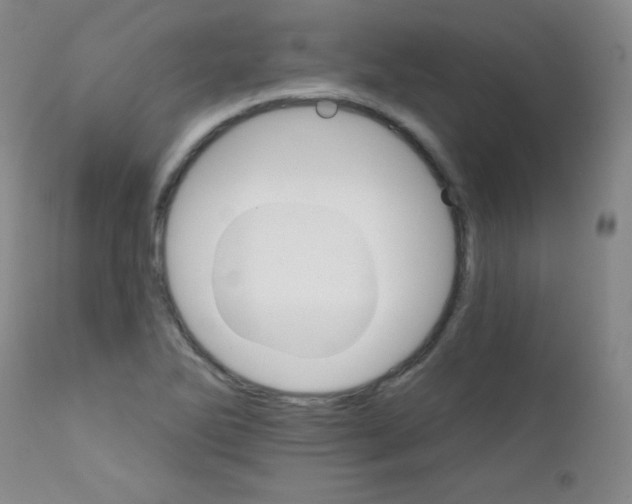 X0000111801270200909031221