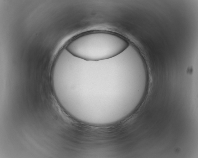 X0000111801272200909031221