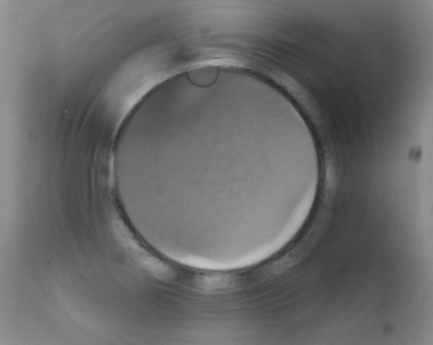 X0000111801274200909031220