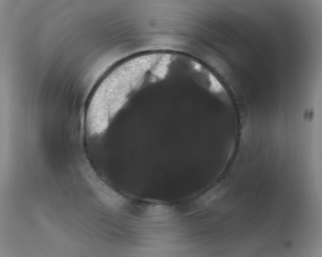 X0000111801275200909031220