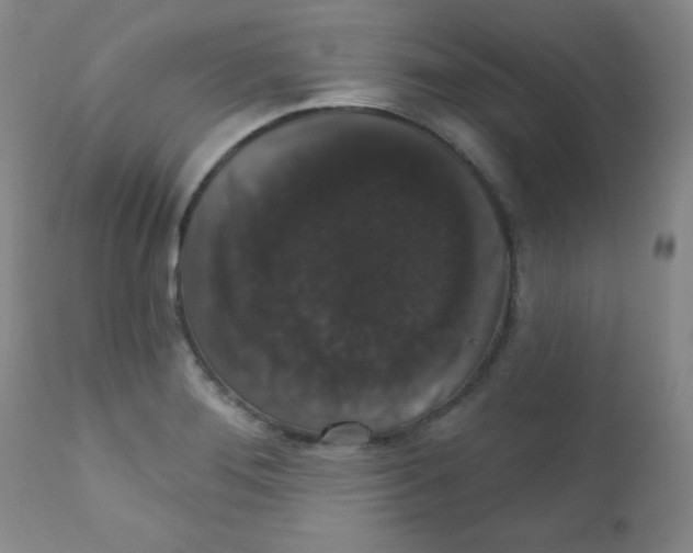 X0000111801276200909031220