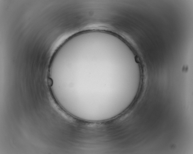 X0000111801277200909031220