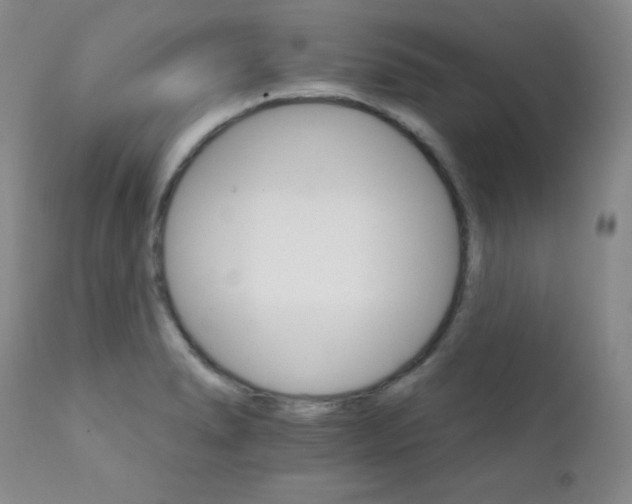 X0000111801278200909031220