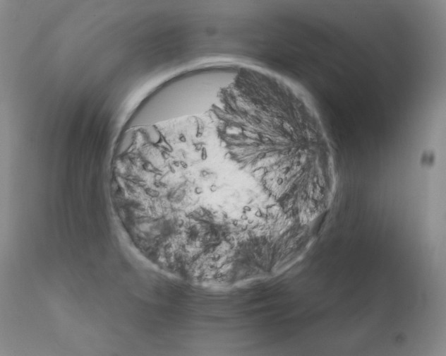 X0000111801279200909031220