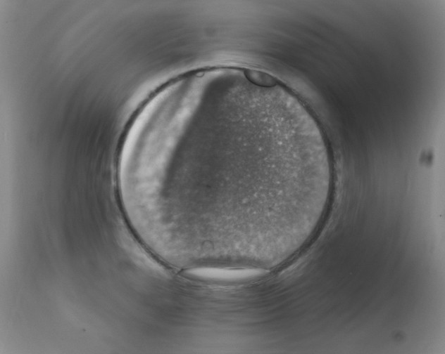 X0000111801280200909031220