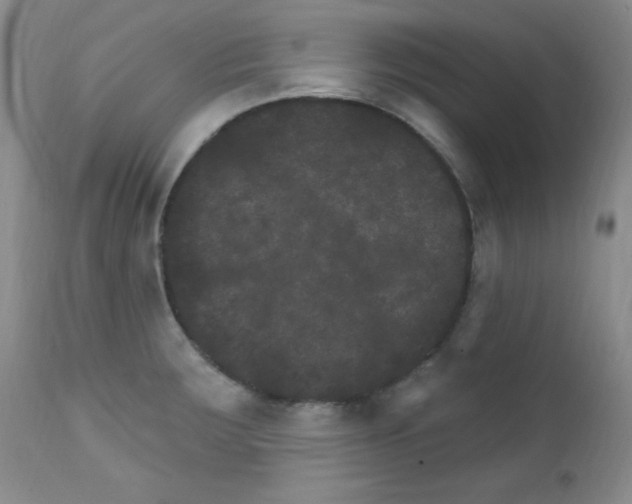 X0000111801283200909031220