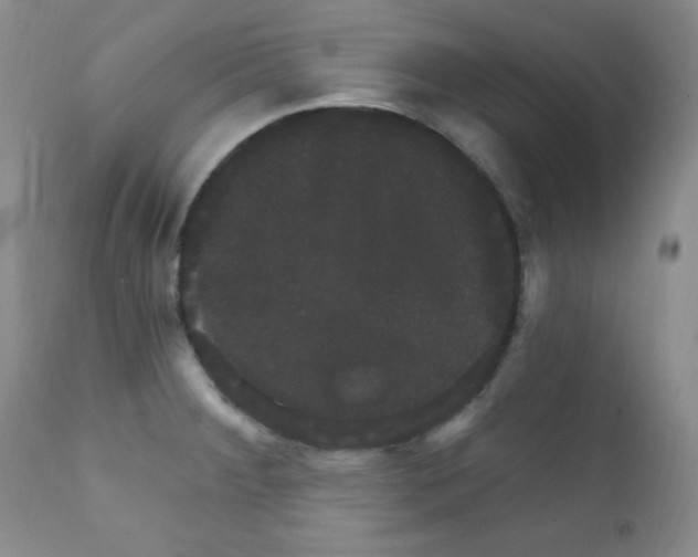 X0000111801284200909031220
