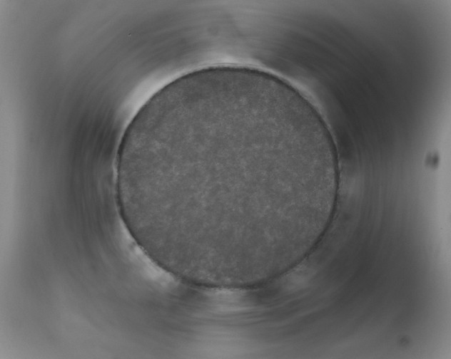 X0000111801287200909031220