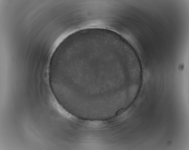 X0000111801288200909031220