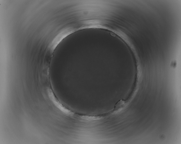 X0000111801289200909031220