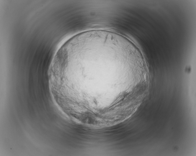 X0000111801291200909031220