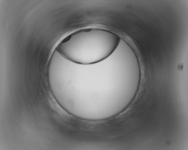 X0000111801292200909031220