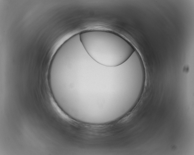 X0000111801293200909031220