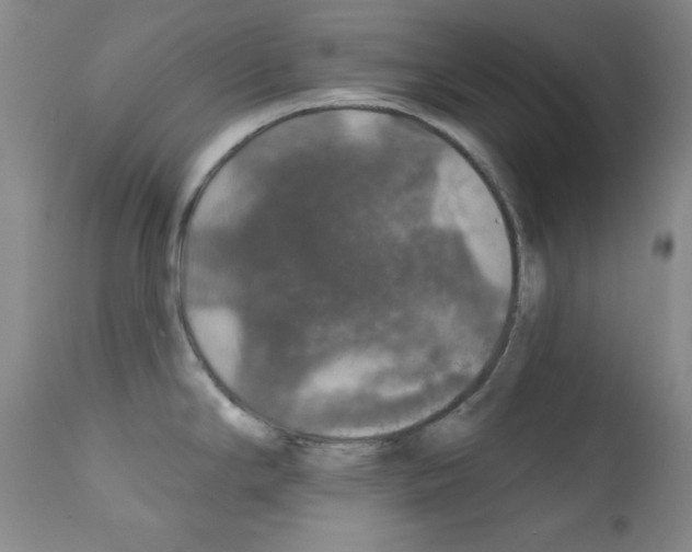 X0000111801294200909031220